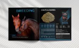 Diseño catálogo Equusline pienso caballos