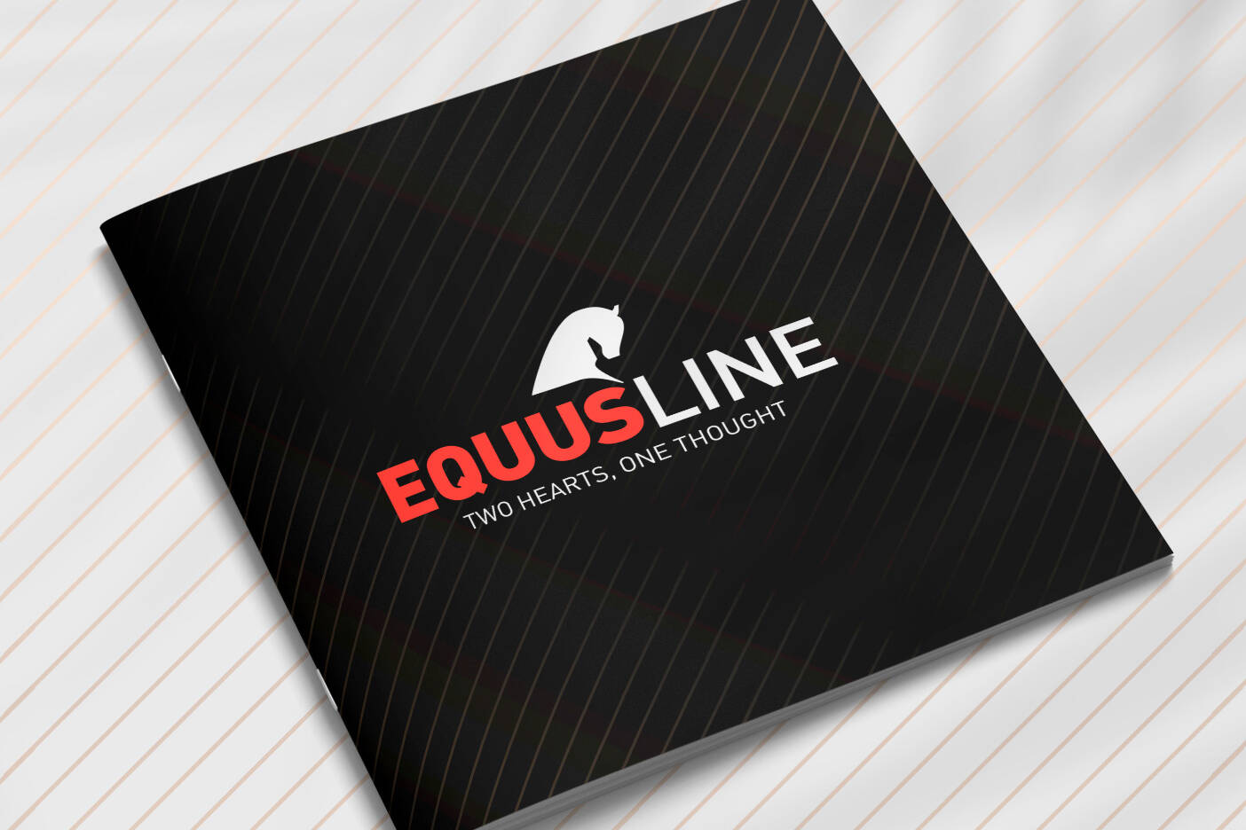 portada folleto Equusline