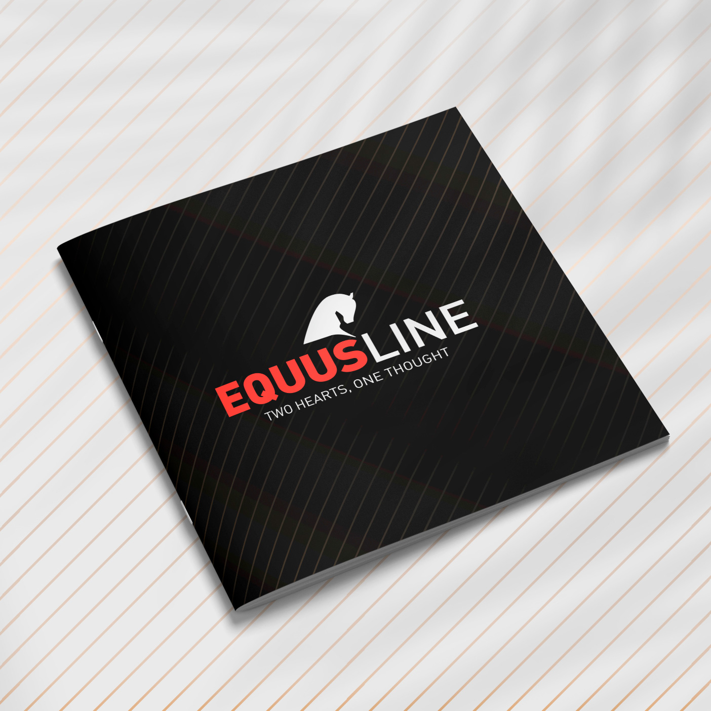portada folleto Equusline
