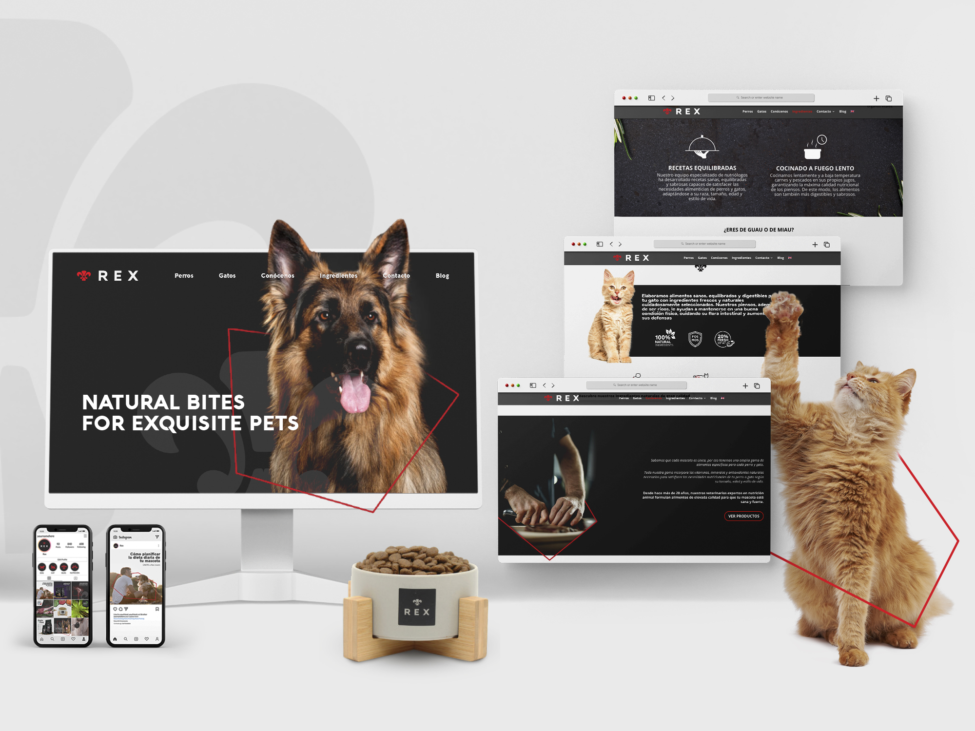 Diseño web Rex mascotas perros y gatos
