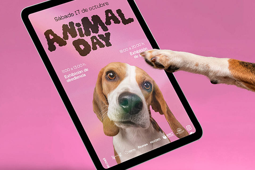 Animal day